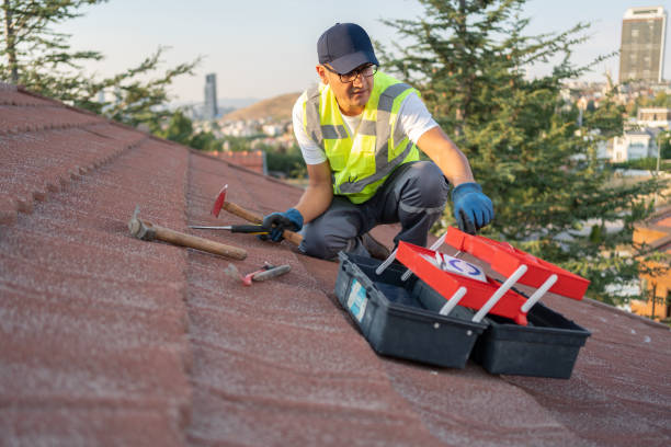 Best Insulated Siding Installation  in Myrtle Grove, NC